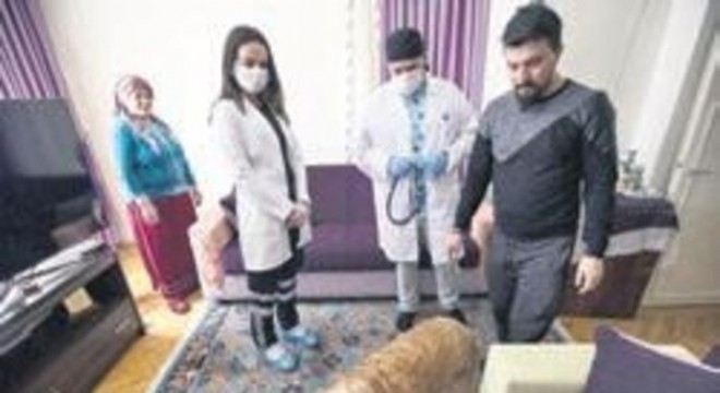 Evde kalan hastaların hayvanlarına veterinerlik hizmeti