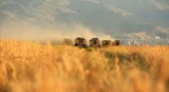 Tarım-GFE Aralıkta Yıllık %33,15 Arttı