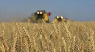 Tarım-GFE Ekimde Yıllık Yüzde 33,66 Arttı